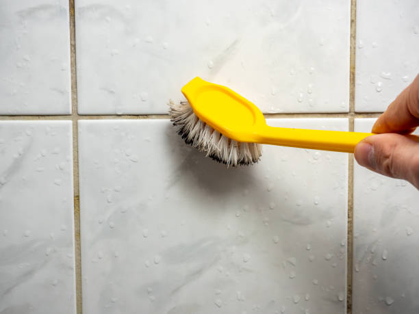 Best Residential Mold Removal  in Mesa, AZ