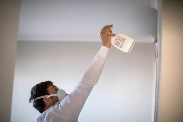 Best Mold Testing  in Mesa, AZ